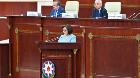 Onların təxribatları nəticəsiz qaldı - Sahibə Qafarova 