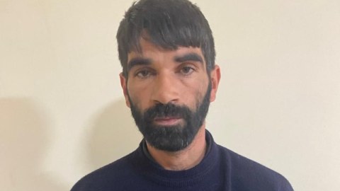 İnək oğrusu həbs edildi