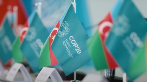 COP29 QHT-lər üçün unikal ŞANSDIR