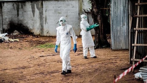 Qanada vəba epidemiyası - 14 nəfər öldü