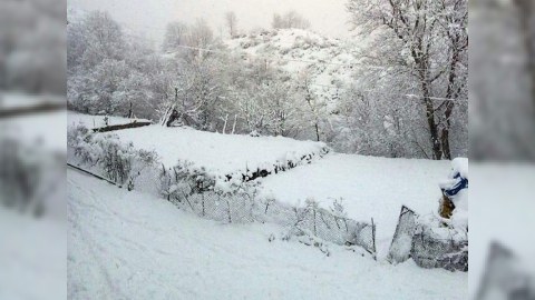 İki rayonda qar yağır