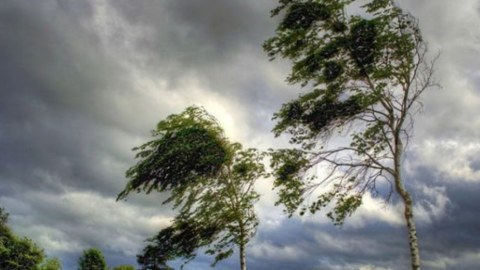 Küləkli hava ilə bağlı XƏBƏRDARLIQ