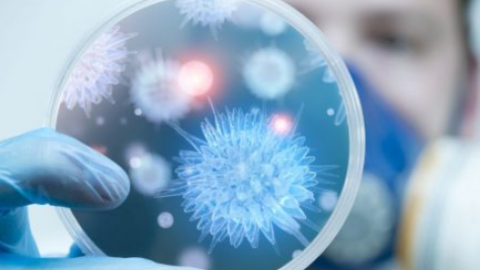 Yeni virus Qırğızıstana çatdı