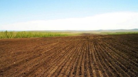 Torpaqların kateqoriyasına dair müraciətə baxılması elektronlaşdırıldı