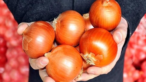 Soğanın qiyməti artıb