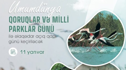 Milli parklarda “açıq qapı” günü keçiriləcək