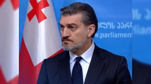 Gürcüstanın yeni prezidenti 613 məhkumu əfv etdi