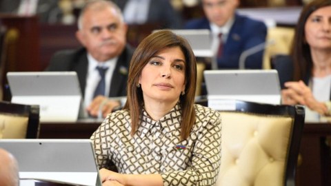 O gecə yaşadığımız dövlətə inamımız sarsıldı - Deputat