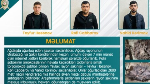 7 min manatlıq internet xətlərini kəsərək oğurladılar - VİDEO
