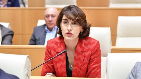 Gürcüstan xarici işlər naziri Ermənistana gedir