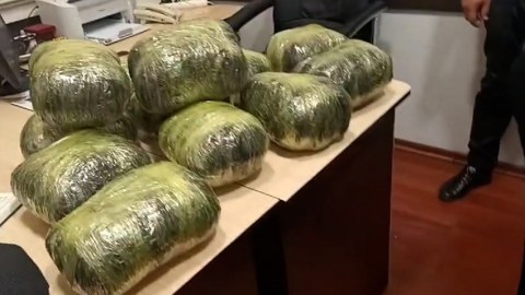 Sumqayıtda əməliyyat: 14 kq narkotik sıradan çıxarıldı