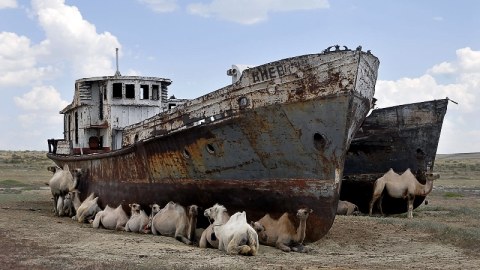 Dünyanı yeni ekoloji fəlakət gözləyir - Alimlərdən XƏBƏRDARLIQ