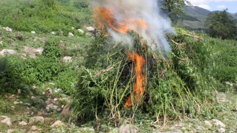 Müsadirə olunmuş narkotik vasitələr məhv edildi