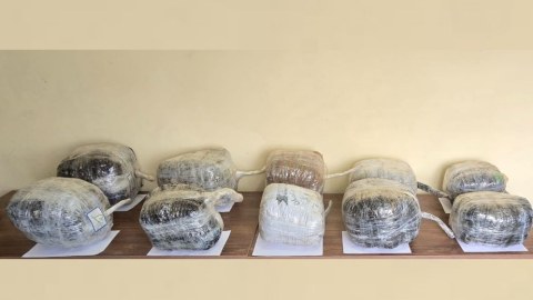 Naxçıvanda külli miqdarda narkotik məhv edildi