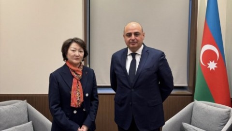 Türk Mədəniyyəti və İrsi Fondunun prezidenti&nbsp;XİN-in xüsusi səfiri ilə görüşüb