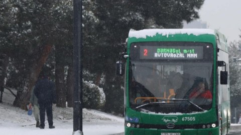 Xətlərə lazımi sayda avtobus buraxılıb - Rəsmi