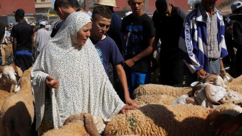 Kraldan Qurban bayramı çağırışı: Heyvan kəsməyin!