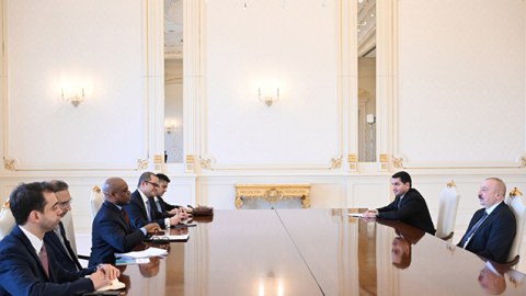 İlham Əliyev D-8-in Baş katibini qəbul etdi