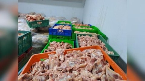 Dönər emalı müəssisəsində at əti AŞKARLANDI