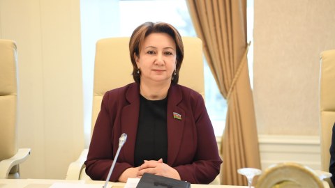 Azərbaycan qadınlarının fəth edə bilməyəcəyi zirvə yoxdur - Mehriban Vəliyeva