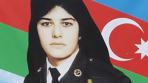 Aslanın erkəyi, dişisi olmaz