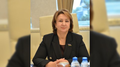 “Şimali Makedoniya-Azərbaycan iqtisadi əlaqələri üçün geniş imkanlar mövcuddur”