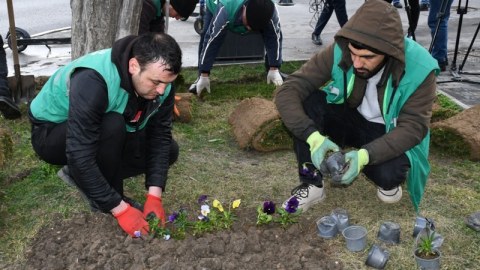 Bakıda iməclik keçiriləcək