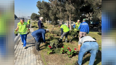Bakıda ağacəkmə aksiyası və iməcilik keçirilib - FOTO