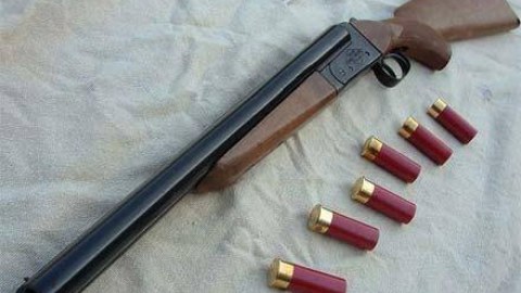 21 yaşına çatmış şəxslər də silah ala bilər