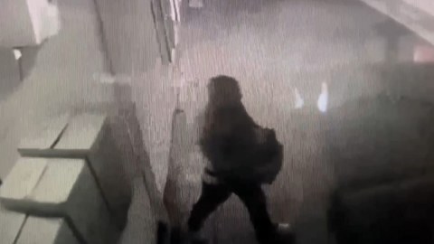 Mağazalardan 9 min manatlıq oğurluq edildi