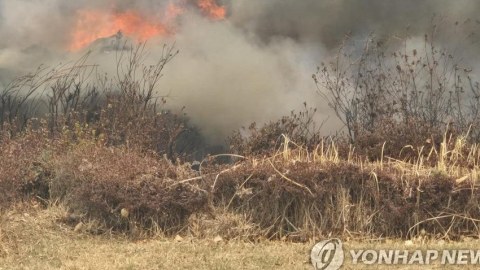 Cənubi Koreyada helikopter qəzası