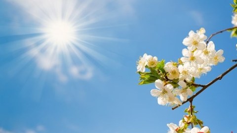 Sabah 20 dərəcə isti olacaq