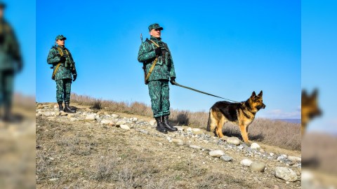 Sərhədi pоzan 9 əcnəbi saxlanıldı - FOTO