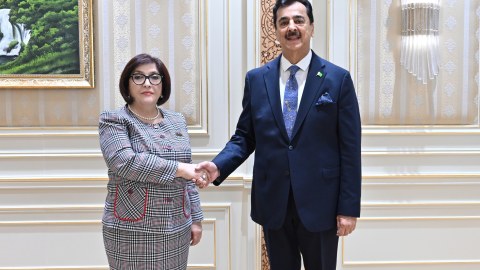 Sahibə Qafarova Gilani ilə görüşdü - FOTO