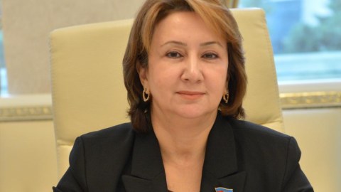 Azərbaycanın enerji siyasəti milli maraqlar üzərində qurulub - Mehriban Vəliyeva