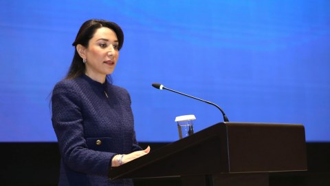Ermənistanın mina terroru səbəbiylə günahsız insanlar təhdid altındadır - Ombudsman