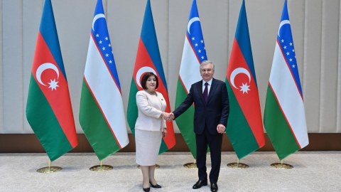Sahibə Qafarova Şavkat Mirziyoyevlə görüşüb