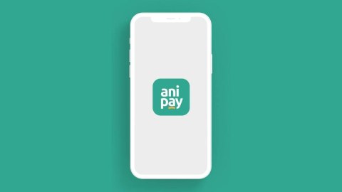 Mərkəzi Bankın “AniPay” tətbiqində nə baş verir?