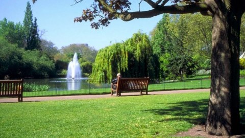 Bakıda yeni park SALINIR