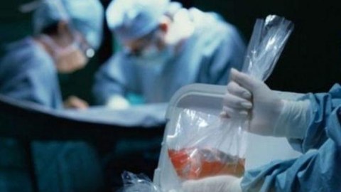 Üç ayda orqan köçürülən xəstələrin SAYI
