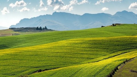Yay və qış otlaqlarının təyinatı dəyişdirildi - Baş nazirdən qərar