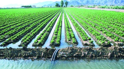 Yazda qış havası -&nbsp; Aqrar sektora mənfi təsir edəcək