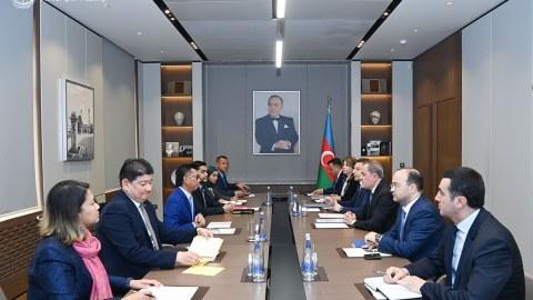 Azərbaycanla Malayziya arasında siyasi məsləhətləşmələr aparılıb - FOTO