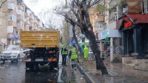Güclü külək Bakıda 55 ağacı sındırdı - FOTO