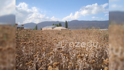 Qərbi Azərbaycan məktəbləri: Bala Məzrə məktəbinin təhsil tarixi - ARAŞDIRMA