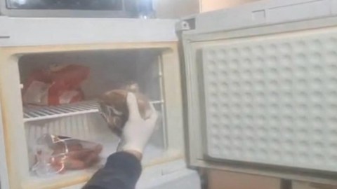 Soyuducuda 4 kq narkotik gizlədən şəxslər saxlanıldı - FOTO