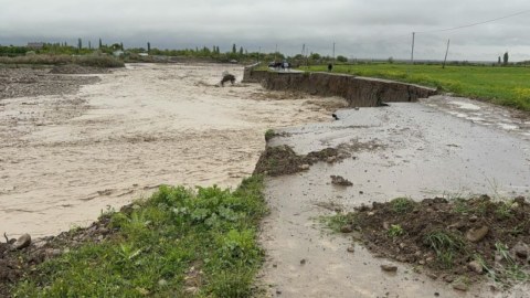 Apreldə baş verən təbiət hadisələri istehsalçılara bu qədər ziyan vurub