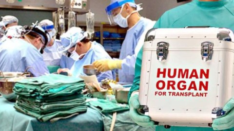 Azərbaycanda orqan transplantasiyası&nbsp;- Qanun nə deyir?