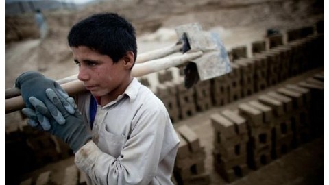 15 yaşına qədər uşaqlar əməyə cəlb edilə bilər - Hüquqşünas