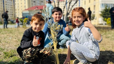 Dövlət Komitəsi ağacəkmə aksiyası təşkil edib - FOTOLAR